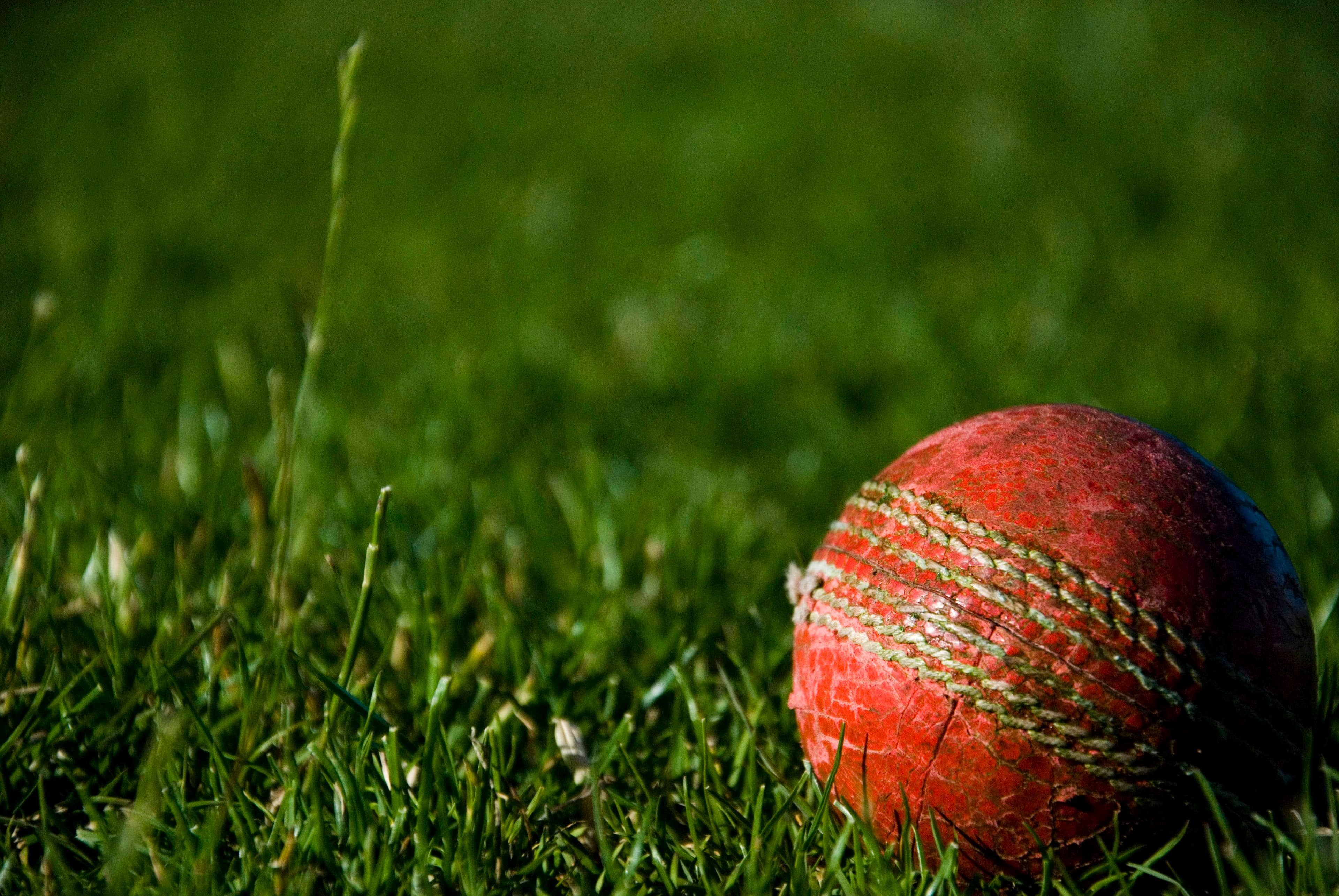 Cricket sports channels