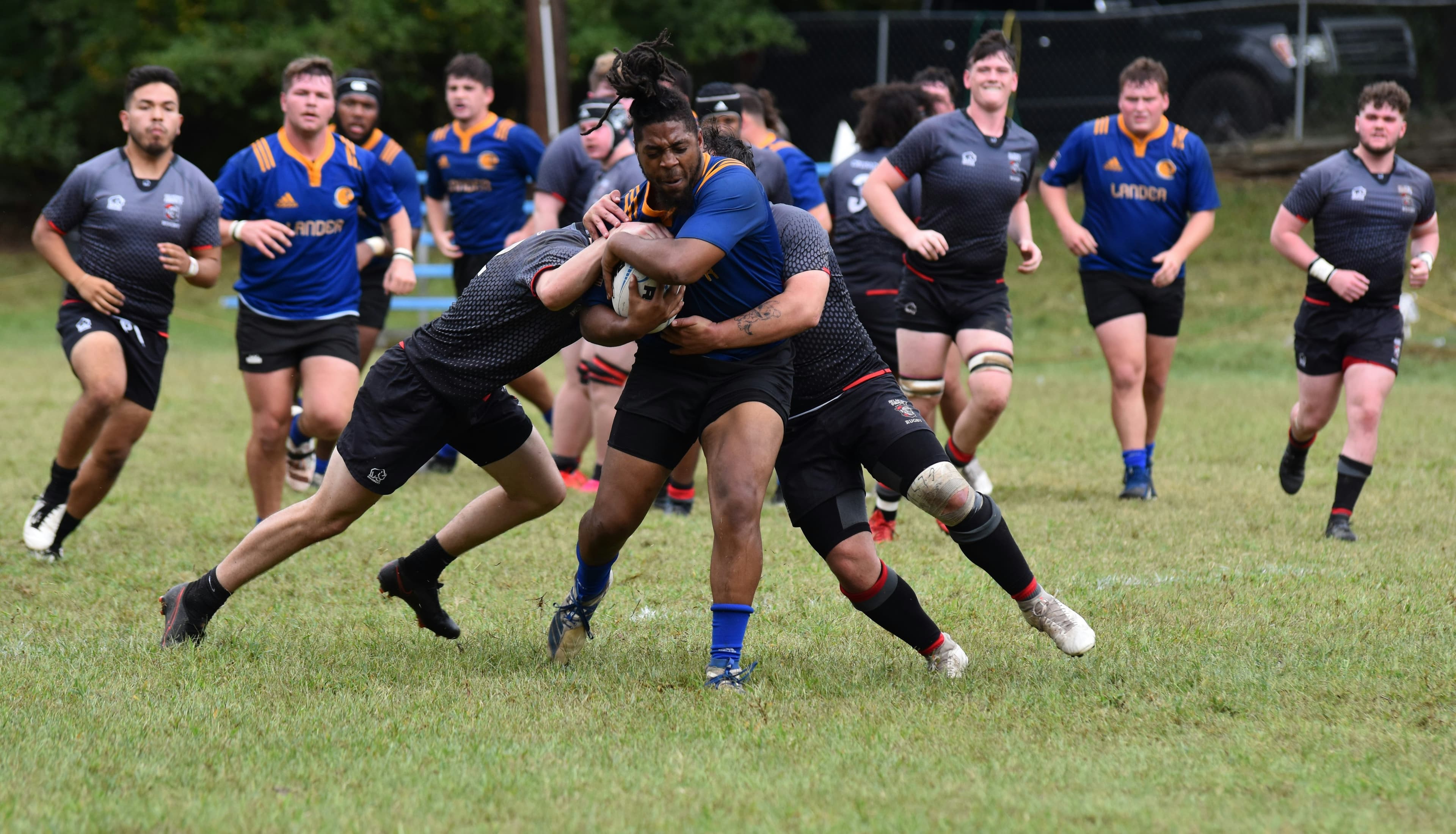 Rugby sports channels