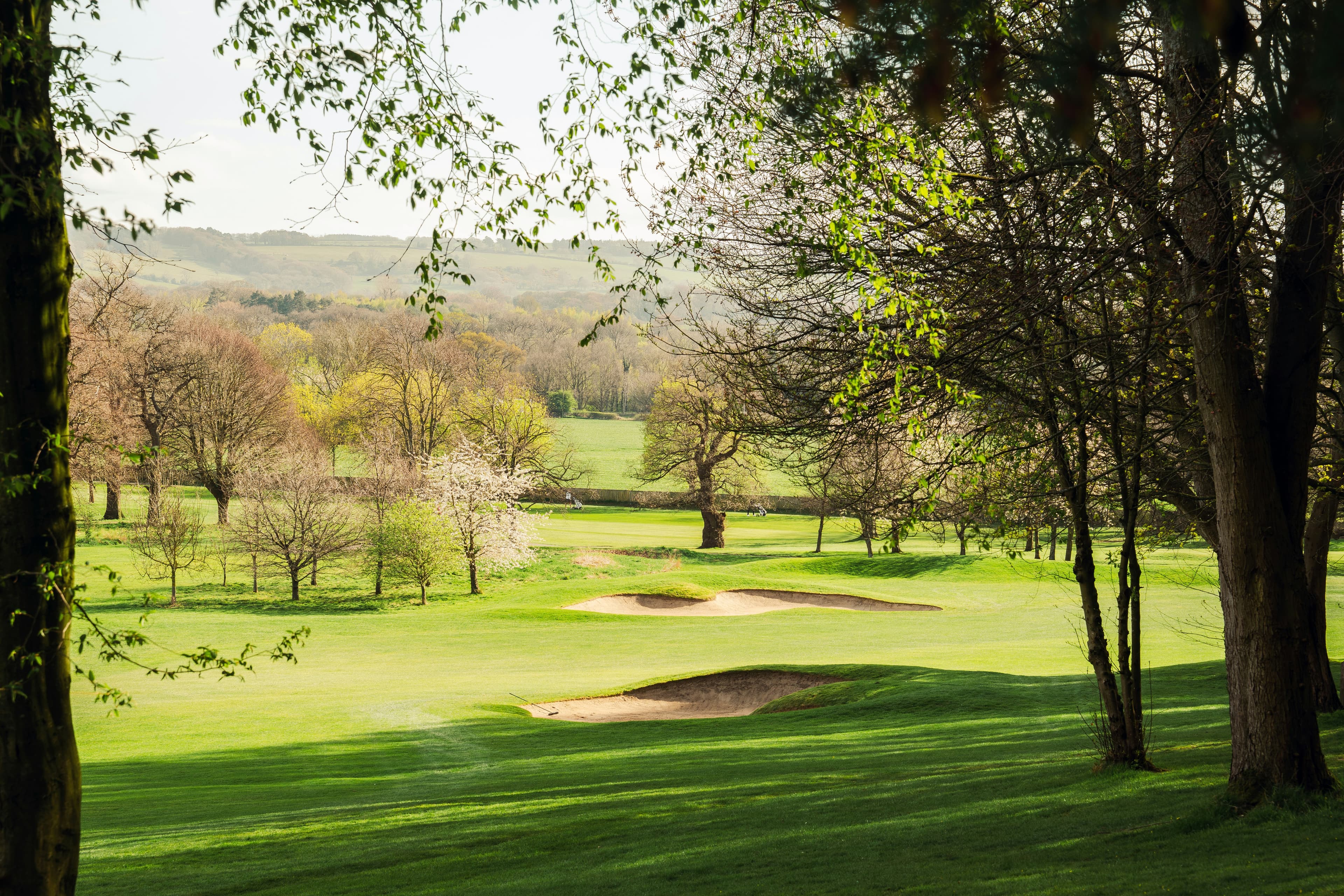 Golf sports channels